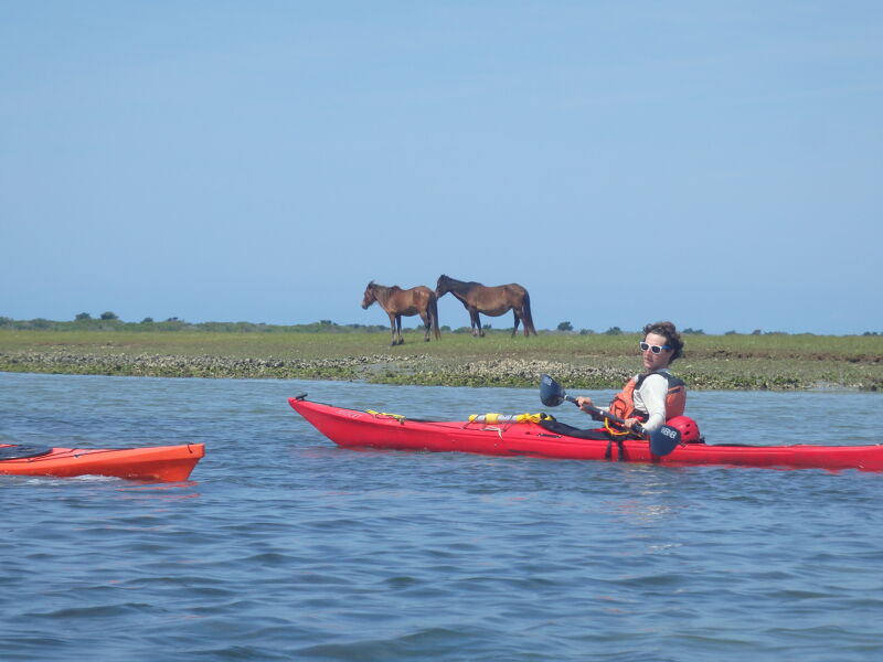 A woman in a red kayak paddles on the water. She is wearing sunglasses and a life vest. In the background, two horses graze on the grassy shore. The sky is clear and blue, suggesting a sunny day. Another orange kayak is visible to the left.